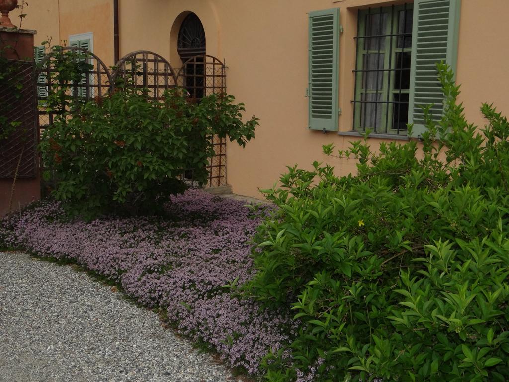B&B Il Quadrifoglio Sciolze Exterior photo